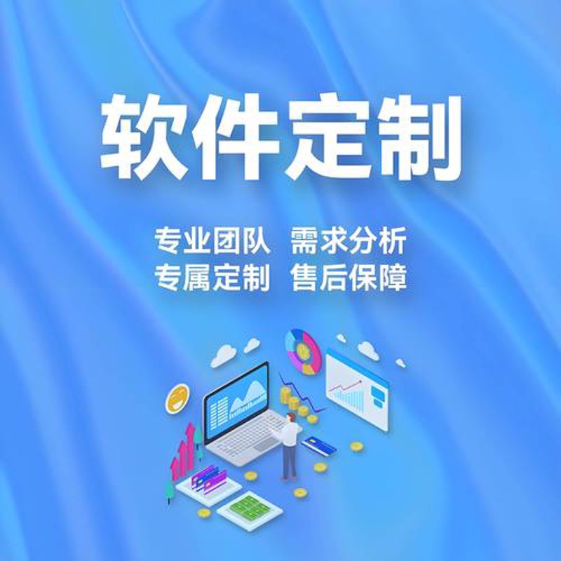 软件定制开发：企业成长的新引擎
